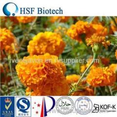 Zeaxanthin 5% CWS Product Product Product