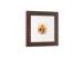 5x5 Opening Wooden Veneer Gallery Photo Frame In Washed Brown Colors