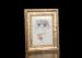 Medium Size 6x8 MDF Tabletop Photo Frame In Foiled Rich Gold Finishing