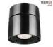 Built - In Driver Ceiling Mount Outdoor Light for Holiday Village / Pavilion 6W Dia.100 * 114mm