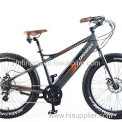 Central Motor Fat-Tyre E-Bike(HF-261503C)