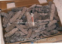 sea cucumber dried frozen and fresh shrimp fish