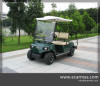 ECARMAS electric 2 seats golf cart