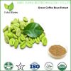 bulk powder green coffee bean extract