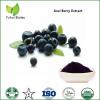 acai berry powder extract acai berry power slim acai extract acai fruit extract
