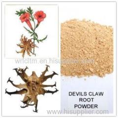 devil's claw powder devil's claw root extract high quality devil's claw extract