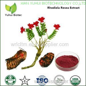 rhodiola rosea powder extract natural rhodiola rosea powder extract rhodiola rosea extract