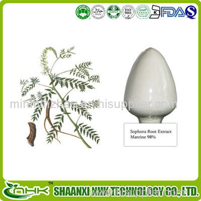 Natural Matrine Extract Bitter Sophora Root Extract