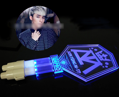 LED Light Sticks sticks