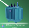 30-2500KVA 3 phase high voltage oil-immersed step down electrical power transformer
