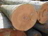 Wood Logs (Beech Oak Acacia