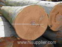 Wood Logs (Beech Oak Acacia