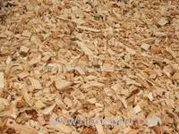 Wood Chips From Pine and Oak