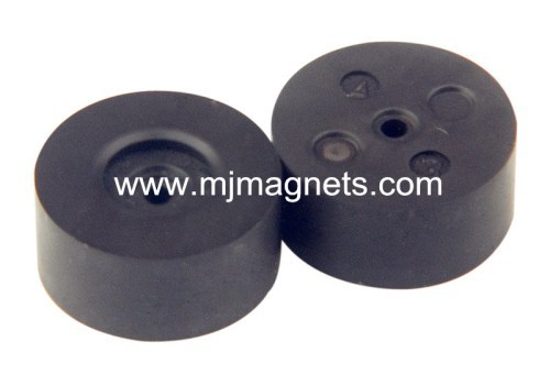 Expert of Injection bonded magents manufacturer