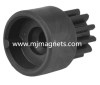 injection bonded magnet for pumps