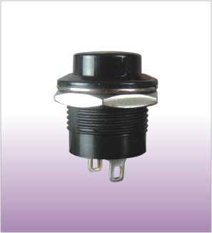 Daier momentary push button switch
