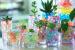 beautiful and cute small bottle with water absorbent crystal soi for grow flowers and home decoration