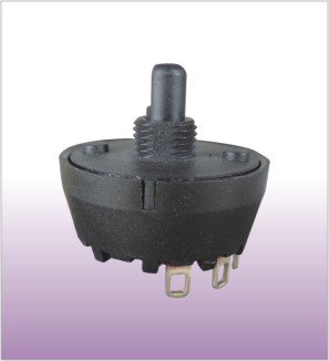 Rotary electric switch with knurl shaft