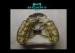 Rubber Coating Rapid Dental Orthodontic Appliances Plastic Tray Material