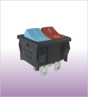 Double Pole Rocker Switch