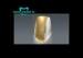 Honorable Gold composite Captek Naogold Crowns Restoration Porcelain bonder