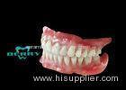 Safety BioHpp Crown Good for the Gingiva after restoration