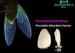 Sovereign Cicada-Wings ultra-thin 0.2mm Porcelain Dental Veneer -IPS.E.Max Ceram