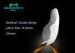 Exalted Cicada-Wings ultra-thin 0.2mm Ceramic Dental Veneer -IPS.E.MAX III Ceram