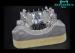 Noble Non-Toxic Titanium Partial Dentures Framework Excellent Conformance
