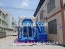 Custome Dolphins Inflatable Combos Bouncer / Blue Bounce House Slide Combo