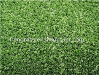 Leisure Grass WF -KW1