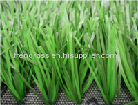 sports grass football -WF-B-312000
