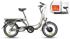 Electric bike cargo model