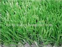 sports grass football -WF-S10500