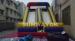 Two Sides Slide/Commercial Inflatable Slide/Inflatable Water Slide With Digital Printings