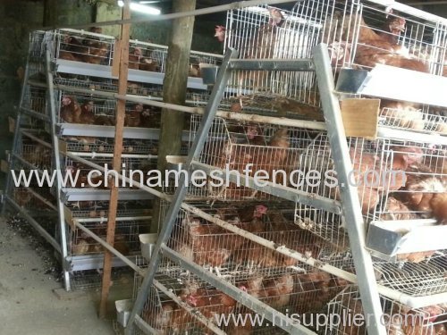 A type layer chicken cage galvanized wire mesh layer chicken cage