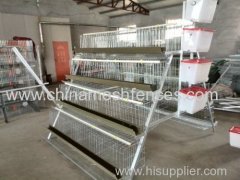 galvanized A type Layer Chicken wire mesh cage in South Africa