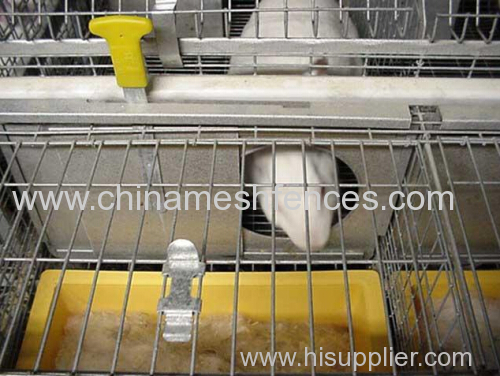 young & female rabbit cage galvanized wire mesh rabbit cage Kenya rabbit cage