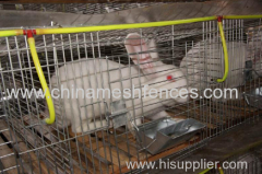welded wire mesh young & female rabbit cage Kenya poultry farm