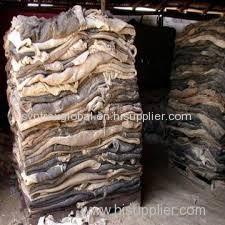 Dry and Wet Salted Donkey Hides