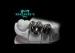 Metal Full Cast Crown Economic and Practical Cobalt Chromium