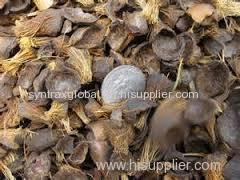 Palm Kernel Shell (PKS) for sale