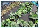 Biodegradable Garden Weed Control Fabric 100 % Virgin PP Non Woven Film