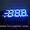Blue / Red / Green 0.52 Inch 3 Digit Seven Segment LED Display For Heating and Cooling