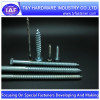Square Flange Head Wood Screw With Washer Kit