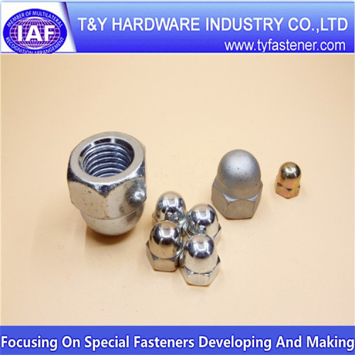 Decorative H.D.G zinc plated connecting cap nuts