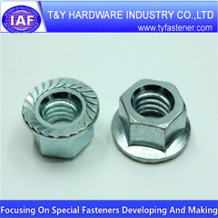 Standard Part Hex Flange Nut