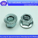 Hex Flange Nuts iso 4161