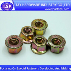 Standard Part Hex Flange Nut