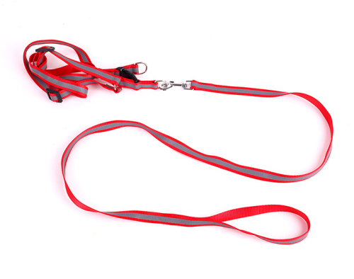 Reflective Dog Collar & Leash set